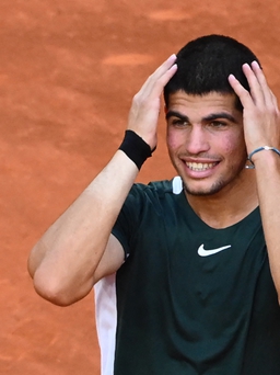 Alcaraz gây 'sốc' khi đánh bại cả Nadal lẫn Djokovic tại Madrid Open