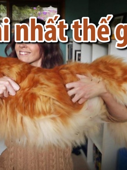 Choáng với chú mèo dài nhất thế giới