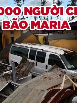 Số người chết vì siêu bão Maria gấp 50 lần ước tính ở lãnh thổ Mỹ