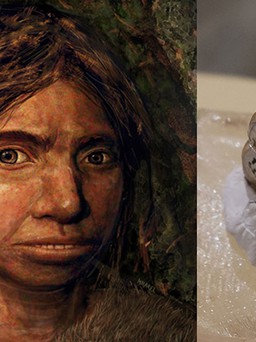 Hóa thạch răng bé gái thuộc loài người bí ẩn được phát hiện ở dãy Trường Sơn