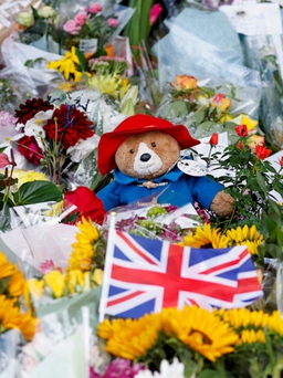 Tại sao người dân Anh lại mang gấu Paddington đến viếng Nữ hoàng Elizabeth?