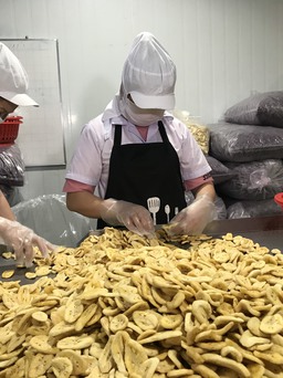 Vĩnh Long muốn xuất khẩu 30 triệu USD rau quả
