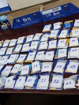 Hải quan Tân Sơn Nhất phát hiện 4 kg ma túy giấu trong thức ăn cho mèo