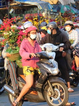 TP.HCM: Giao thừa sắp 'gõ cửa', hoa mai vẫn 'nằm chờ'