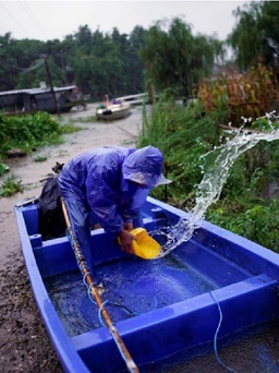Trung Quốc báo động lũ lụt chưa từng có ở sông Dương Tử