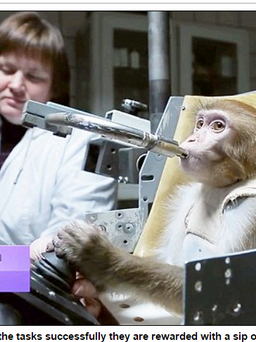 Nga huấn luyện khỉ để đưa lên sao Hỏa