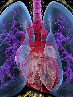 5 dấu hiệu khó ngờ 'tố cáo' bạn có thể mắc bệnh phổi