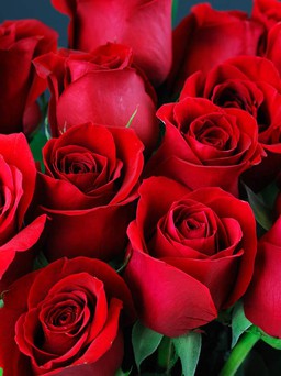 Khoa học phát hiện lợi ích bất ngờ của hoa hồng