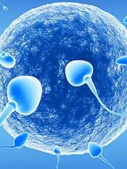 4 nguyên nhân khó ngờ khiến nam giới bị giảm tinh trùng mà không biết