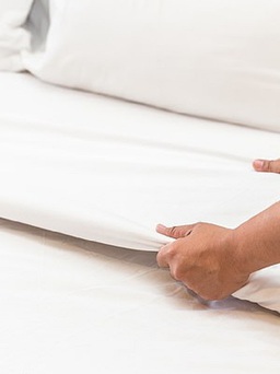 Giường ngủ có thể chứa những mầm bệnh nào?