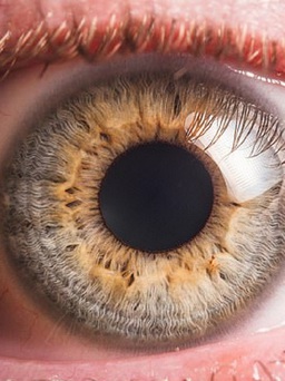 Bị mất thị giác, tổn tương gan vì bổ sung quá nhiều vitamin
