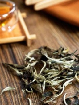 Tác dụng phòng bệnh ít người biết của trà trắng
