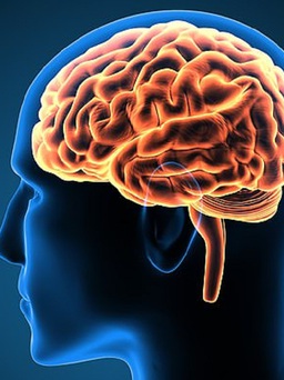 Bác sĩ cũng sốc: Người đàn ông bị nấm đen phát triển trong não