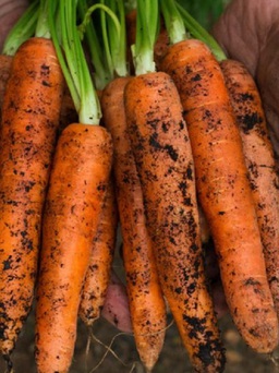 Lợi ích bất ngờ của ăn cà rốt vào buổi tối