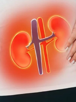 Bị chồng lừa cắt thận đi bán, 4 năm sau người vợ mới phát hiện
