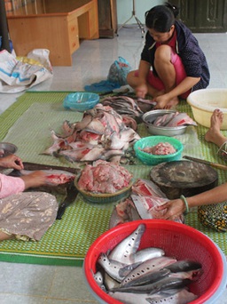 Nhà nông phục vụ tết - Kỳ 3: Chả cá hồ Lắk
