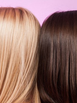 Tóc vàng hay tóc nâu đen, anh chọn ai?
