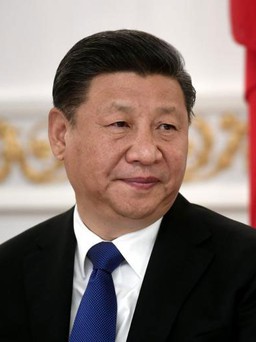Kinh tế Trung Quốc lo lắng vì 'thiên nga đen' và 'tê giác xám'