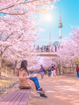 Mùa Valentine đến 5 điểm hẹn hò lãng mạn tại Hàn Quốc năm 2020