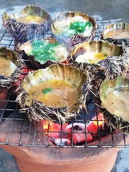 Về biển Phú Yên ăn nhum