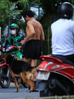 Ẩn họa từ việc nuôi chó tùy tiện: Nhiều hệ lụy nguy hiểm