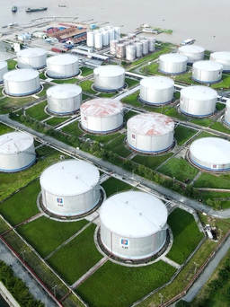 Tin tức đặc biệt trên báo in ngày 14.10.2022