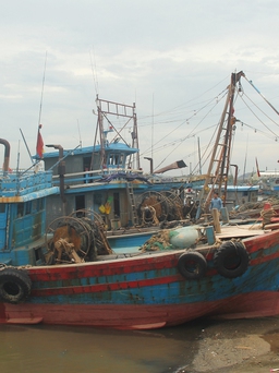 Thiếu trầm trọng lao động đi biển: Có chính sách, ngư dân vẫn khó