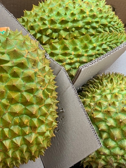 Sầu riêng, chuối rộng đường vào Trung Quốc