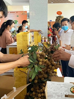 Trái cây Việt nô nức xuất ngoại
