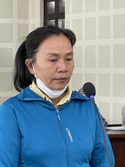 Đà Nẵng: Bán khống đất công viên, lừa 1,5 tỉ đồng, 'nữ quái' lãnh 15 năm tù