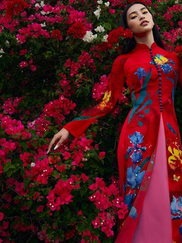 'Mộng dưới hoa' cùng Hoa hậu Tiểu Vy