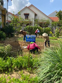 Câu chuyện đằng sau vườn rau không đồng