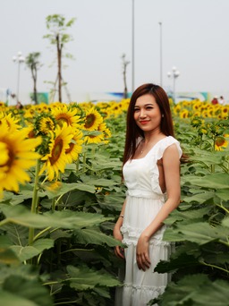 Người Sài Gòn kéo nhau đến vườn hoa hướng dương 'khủng' ở ngoại thành