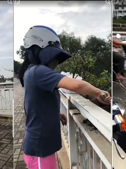 [CLIP] Người phụ nữ đào gốc cây công cộng 'mang về nhà trồng' dù bị nhắc nhở