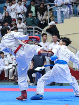 Sôi động ngày hội Karate các tỉnh miền Trung