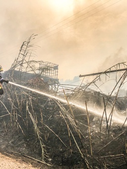 Thảm họa cháy rừng chưa từng có tàn phá hòn đảo của Ý