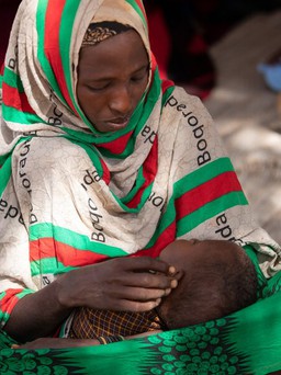 22 triệu người có nguy cơ chết đói ở Sừng châu Phi
