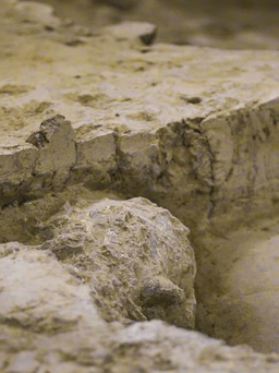 Phát hiện hộp sọ triệu năm tuổi cực kỳ giá trị ở Trung Quốc
