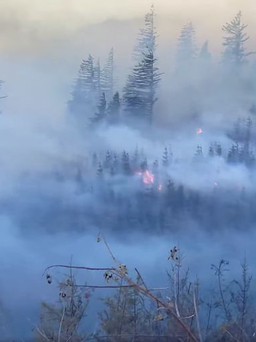 Tây Bắc nước Mỹ bị bao phủ trong khói cháy rừng, người dân khó thở