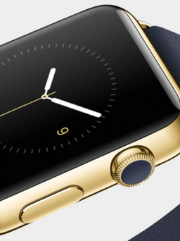 Đồng hồ hạng sang Apple Watch Edition 'biến mất'