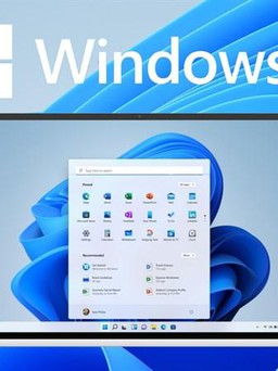 Lượng người dùng Windows 11 tăng gần gấp đôi so với tháng trước