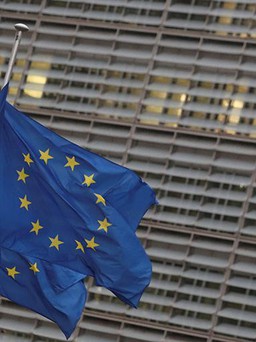 Người dân EU ủng hộ các nguyên tắc kỹ thuật số trên không gian mạng