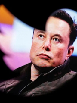 Elon Musk có kế hoạch khôi phục tài khoản bị cấm trên Twitter