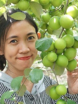 'Ăn' theo phim Cây táo nở hoa, cô gái khởi nghiệp kiếm bộn tiền trong dịch