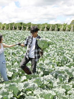 Cặp đôi gây sốt với bộ ảnh cưới chụp tại vườn bắp cải tự trồng