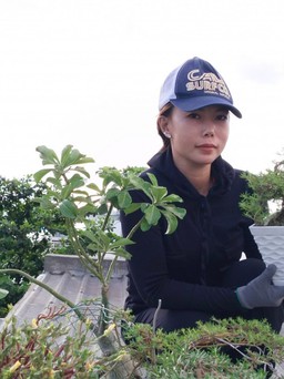 Cô gái "hô biến" mái nhà thành vườn bonsai mười giờ vô cùng ấn tượng
