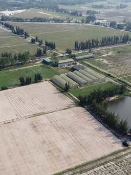 Dự án nông nghiệp công nghệ cao của FLC ở Hà Tĩnh có nguy cơ ‘chết yểu’