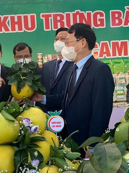 Bắc Giang hợp tác 7 sàn thương mại điện tử bán nông sản phục vụ tết