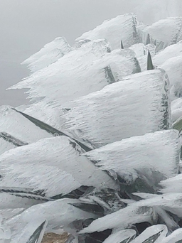 Cận cảnh băng giá ‘đóng’ dày đặc trên đỉnh Mẫu Sơn sáng nay