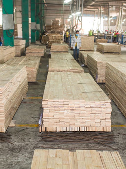 Chiến sự Nga - Ukraine tác động ra sao đến xuất nhập khẩu gỗ của Việt Nam?